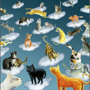 Cloud Catchers - Art and Gifts