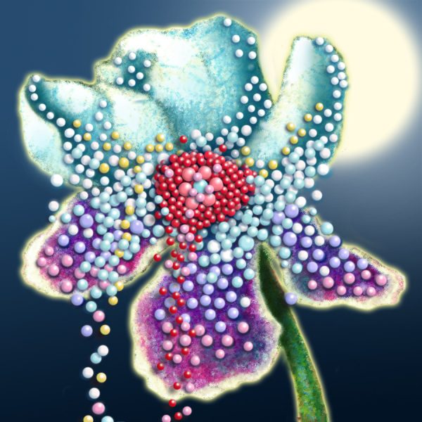 Moon Flower Art Series - Flower 19