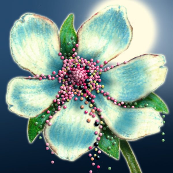 Moon Flower Art Series - Flower 46