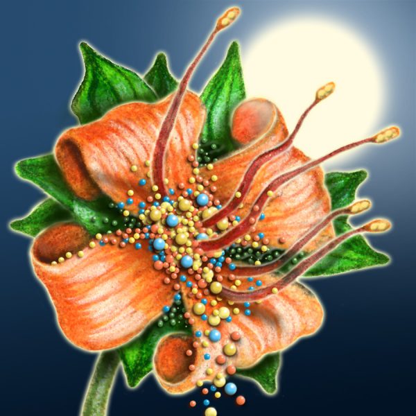 Moon Flower Art Series - Flower 5