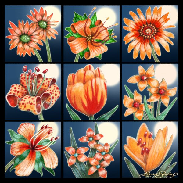 Moon Flower Art Series - Orange Bouquet