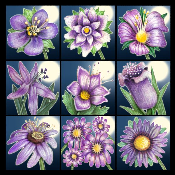 Moon Flower Art Series - Purple Petals