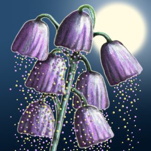 Moon Flower Art Series - Flower 13