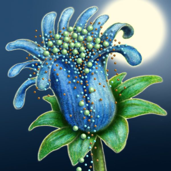Moon Flower Art Series - Flower 28