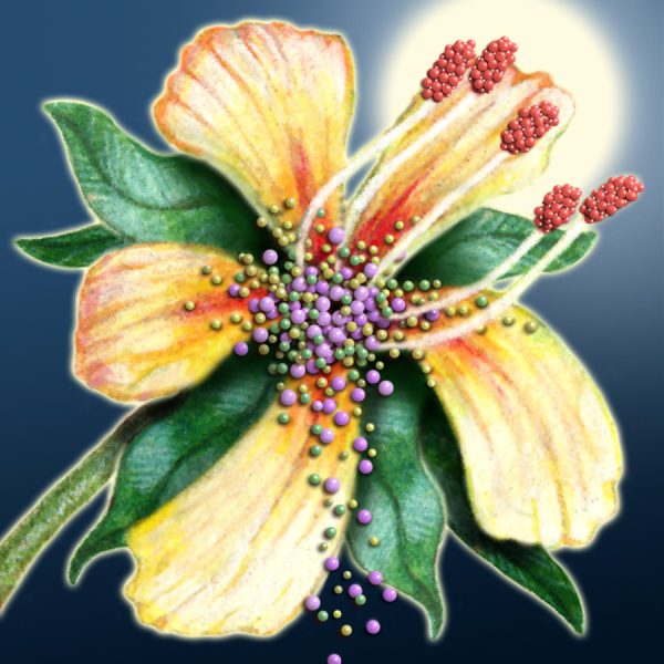 Moon Flower Art Series - Flower 6
