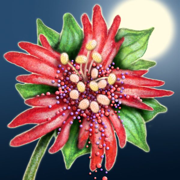 Moon Flower Art Series - Flower 8