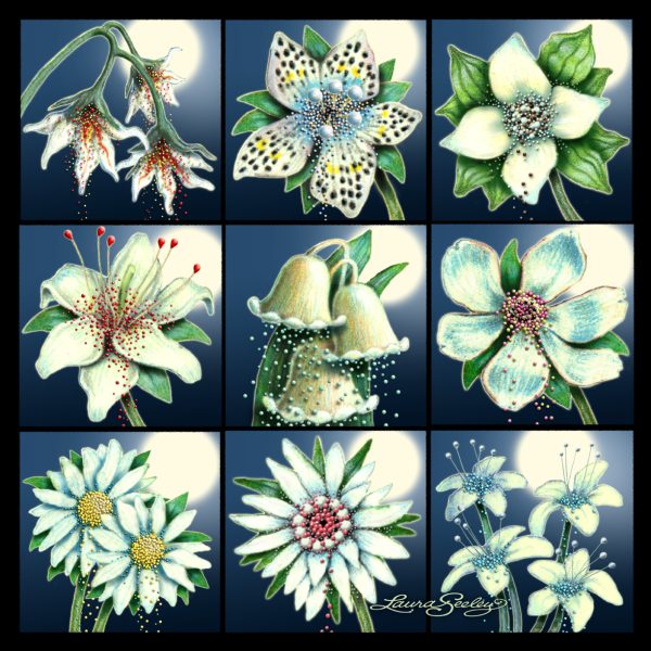 Moon Flower Art Series - Flower 1 - Image 5