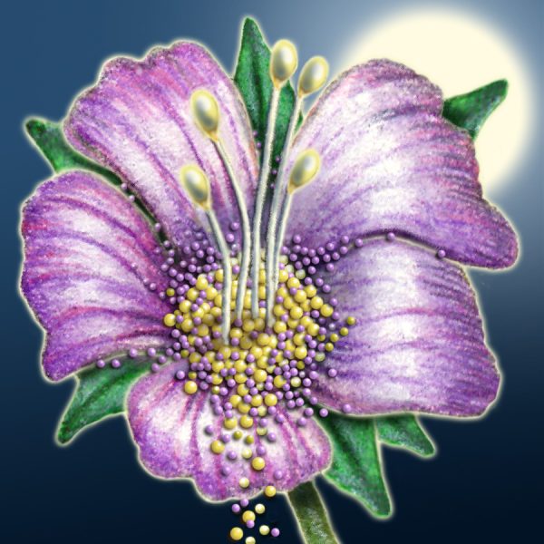Moon Flower Art Series - Flower 11