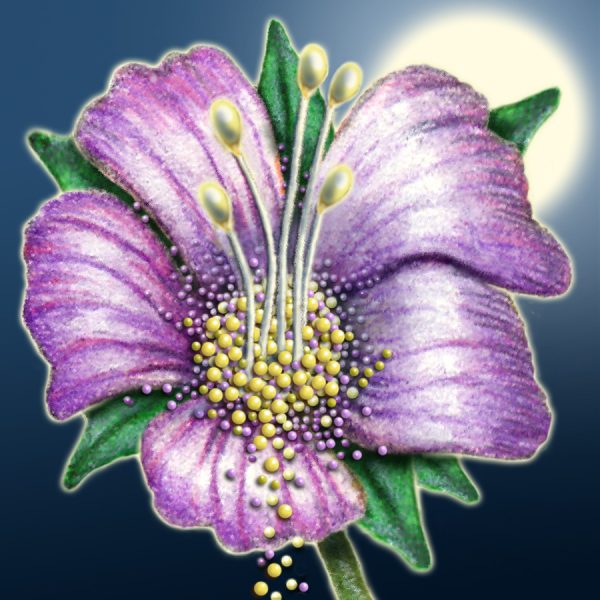 Moon Flower Art Series - Flower 11