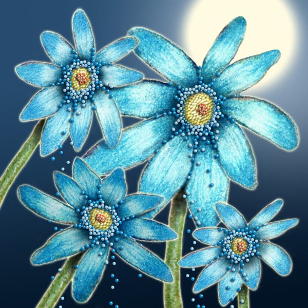 Moon Flower Art Series - Flower 12