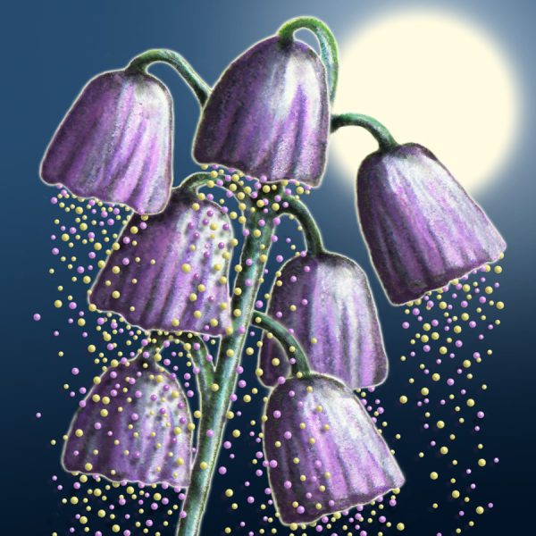 Moon Flower Art Series - Flower 13