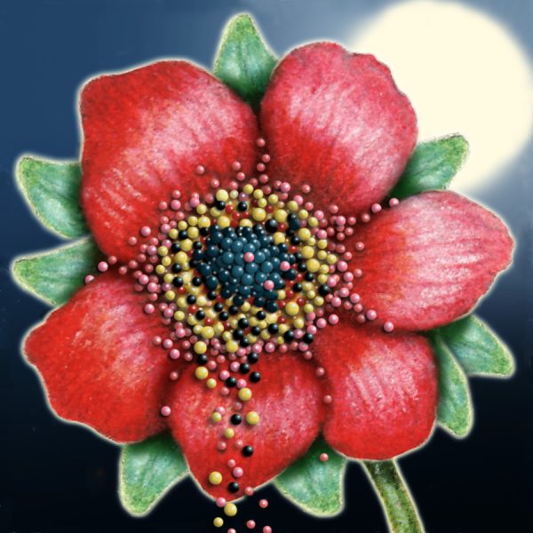 Moon Flower Art Series - Flower 2