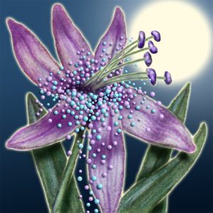 Moon Flower Art Series - Flower 20
