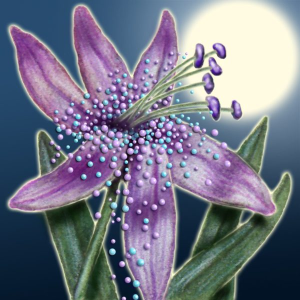 Moon Flower Art Series - Flower 20