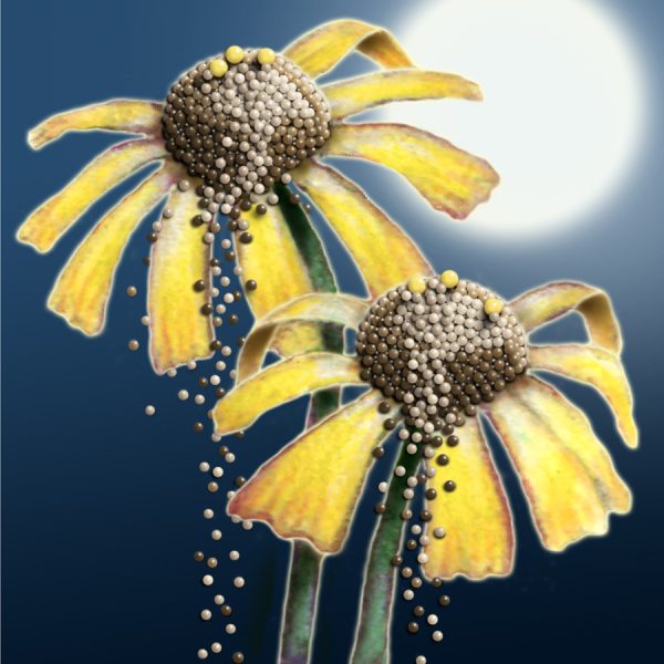 Moon Flower Art Series - Flower 21