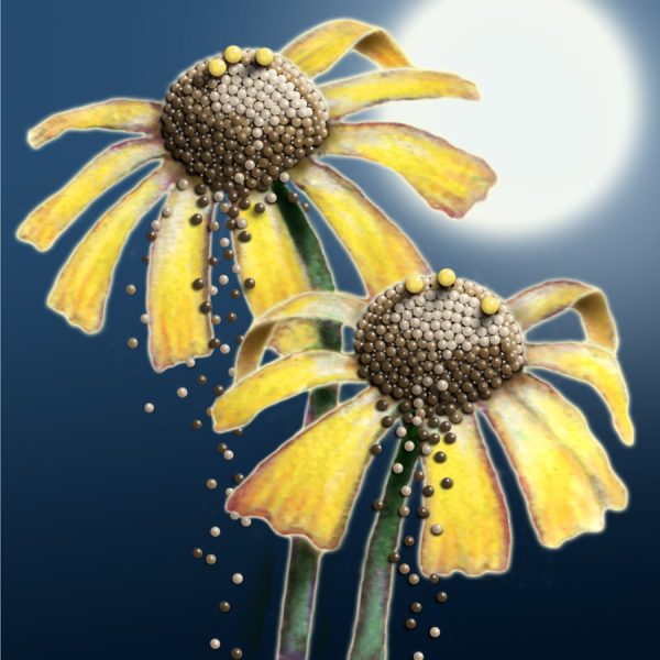 Moon Flower Art Series - Flower 21