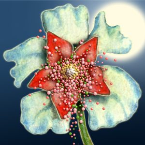 Moon Flower Art Series - Flower 25