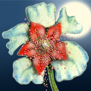 Moon Flower Art Series - Flower 25