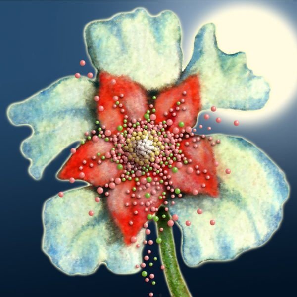 Moon Flower Art Series - Flower 25