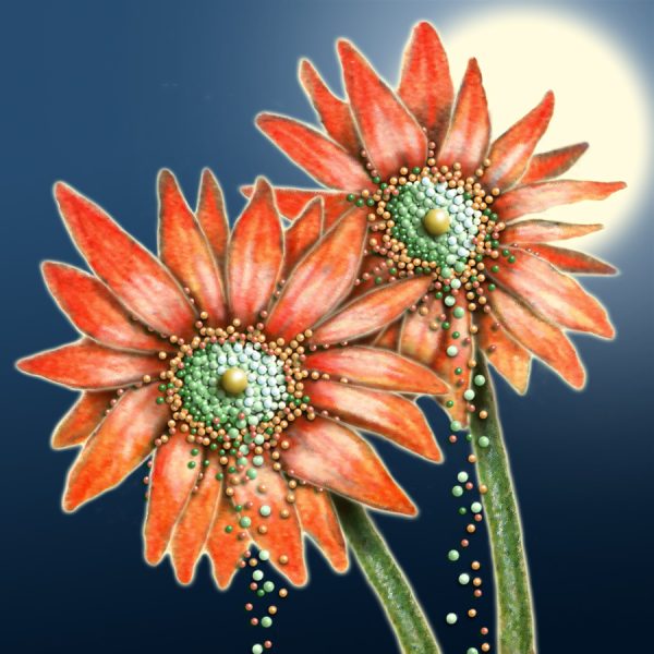 Moon Flower Art Series - Flower 27