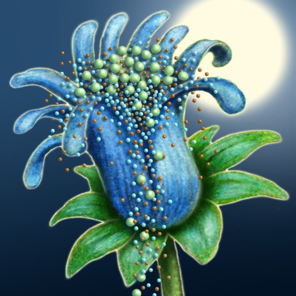Moon Flower Art Series - Flower 28