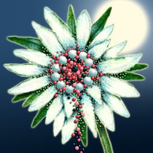 Moon Flower Art Series - Flower 3