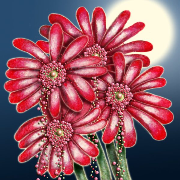 Moon Flower Art Series - Flower 32