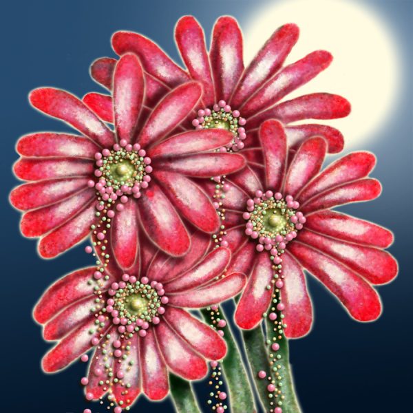Moon Flower Art Series - Flower 32