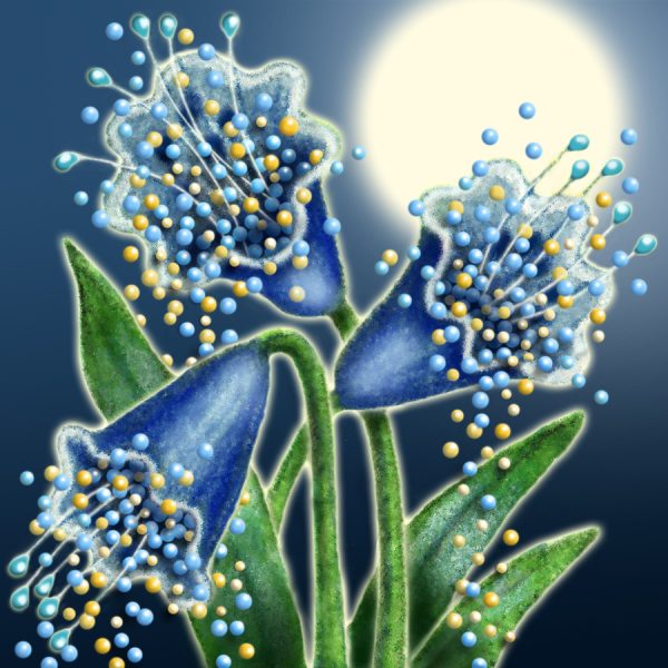 Moon Flower Art Series - Flower 33