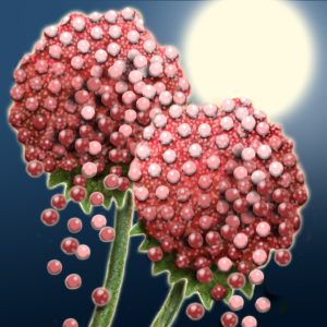 Moon Flower Art Series - Flower 34