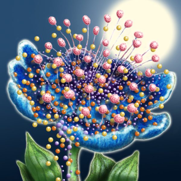 Moon Flower Art Series - Flower 35