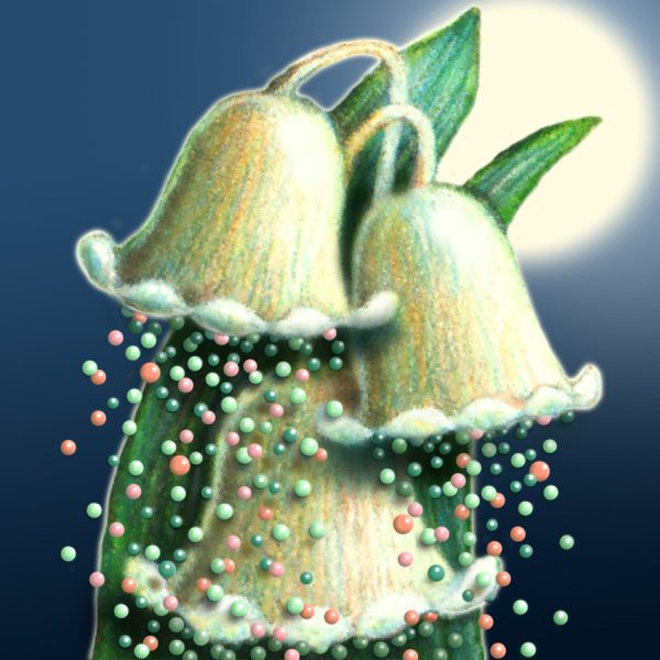 Moon Flower Art Series - Flower 36