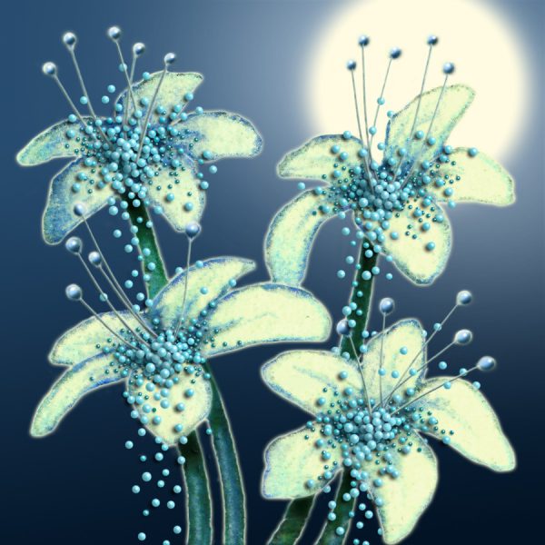 Moon Flower Art Series - Flower 37
