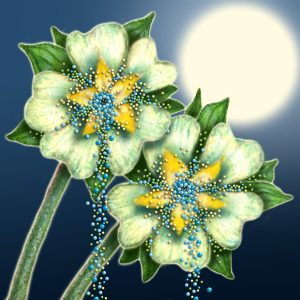 Moon Flower Art Series - Flower 38