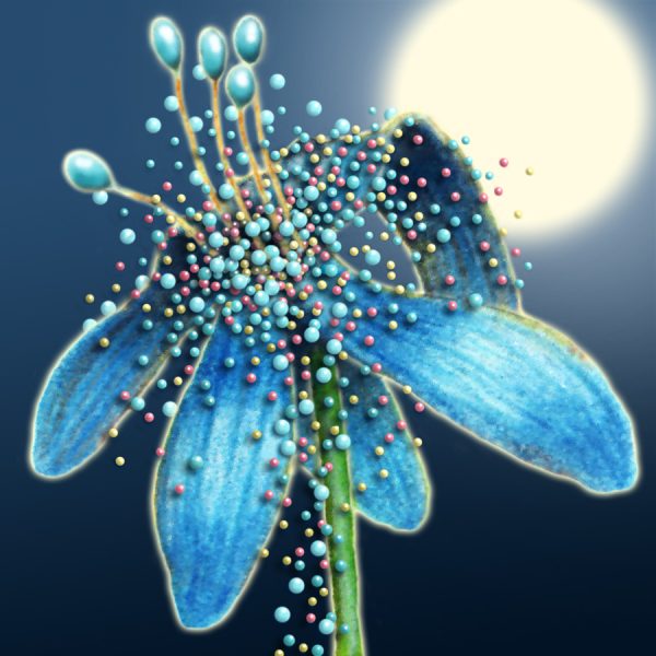 Moon Flower Art Series - Flower 39