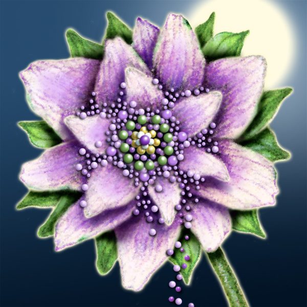 Moon Flower Art Series - Flower 4