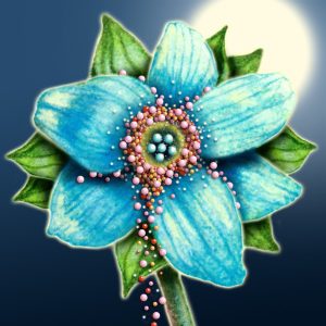 Moon Flower Art Series - Flower 40