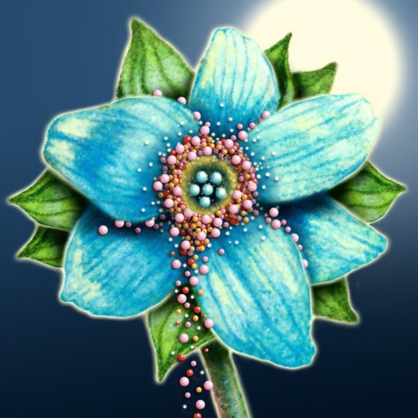 Moon Flower Art Series - Flower 40
