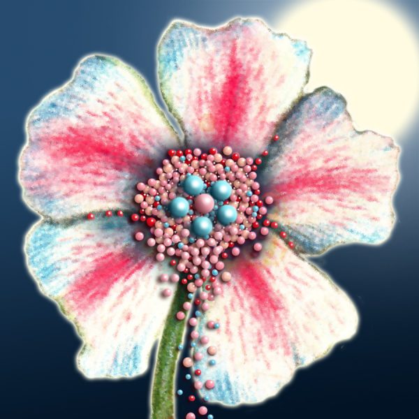 Moon Flower Art Series - Flower 43