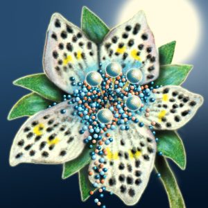 Moon Flower Art Series - Flower 44