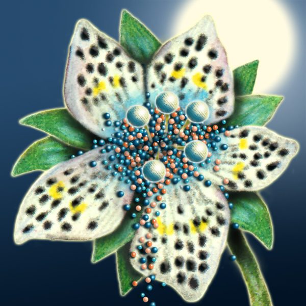 Moon Flower Art Series - Flower 44