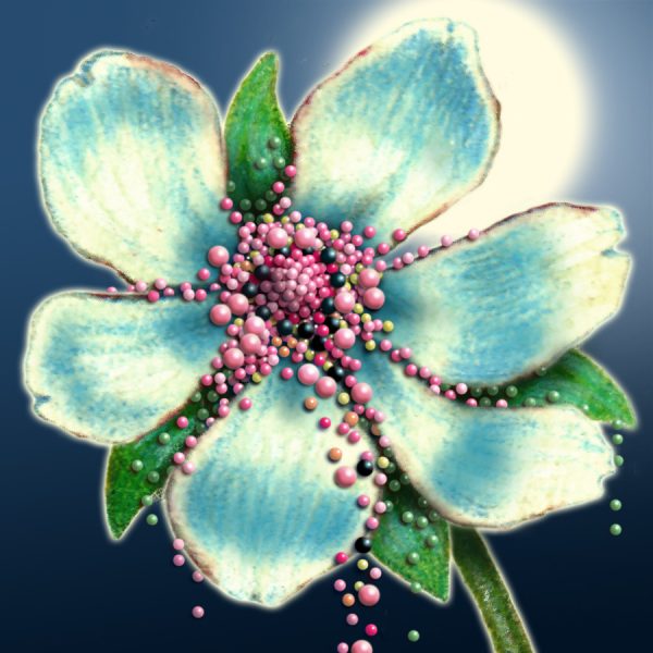 Moon Flower Art Series - Flower 46