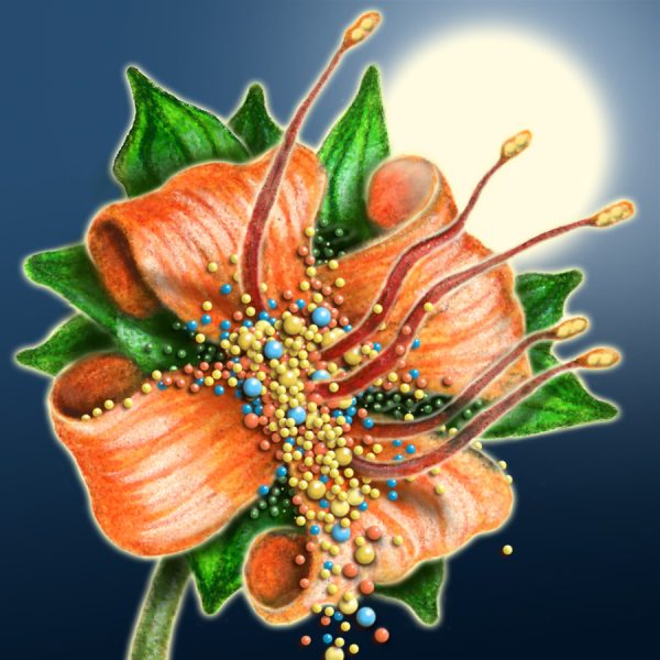 Moon Flower Art Series - Flower 5