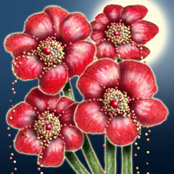 Moon Flower Art Series - Flower 50