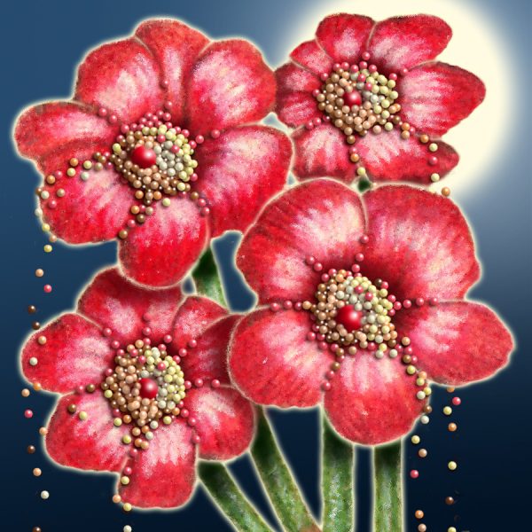 Moon Flower Art Series - Flower 50