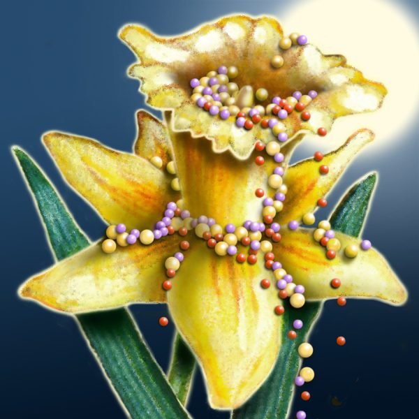 Moon Flower Art Series - Flower 52