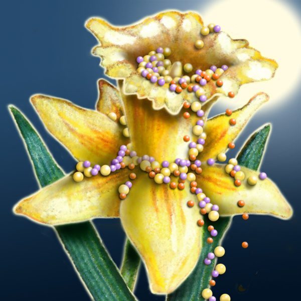 Moon Flower Art Series - Flower 52
