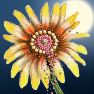 Moon Flower Art Series - Flower 56