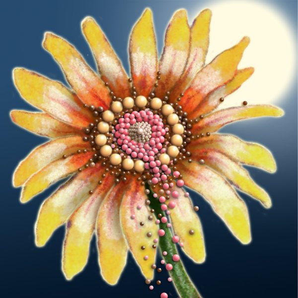 Moon Flower Art Series - Flower 56