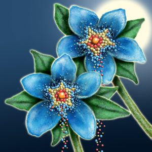 Moon Flower Art Series - Flower 58